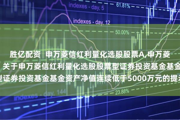 胜亿配资  申万菱信红利量化选股股票A,申万菱信红利量化选股股票C: 关于申万菱信红利量化选股股票型证券投资基金基金资产净值连续低于5000万元的提示性公告